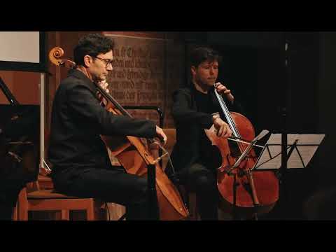 Video-Vorschau