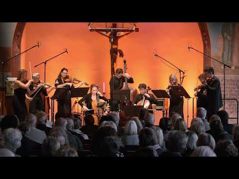 Video-Vorschau