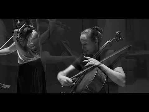 Video-Vorschau